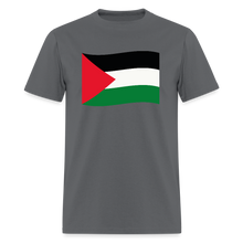 Load image into Gallery viewer, Palestine - charcoal