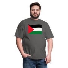 Load image into Gallery viewer, Palestine - charcoal