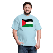Load image into Gallery viewer, Palestine - powder blue