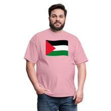 Load image into Gallery viewer, Palestine - pink

