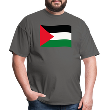 Load image into Gallery viewer, Palestine - charcoal
