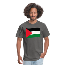 Load image into Gallery viewer, Palestine - charcoal
