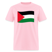 Load image into Gallery viewer, Palestine - pink
